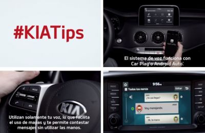 Tips Kia