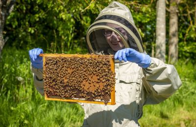 Rolls-Royce se prepara para celebrar el Día Mundial de las Abejas 01 170524